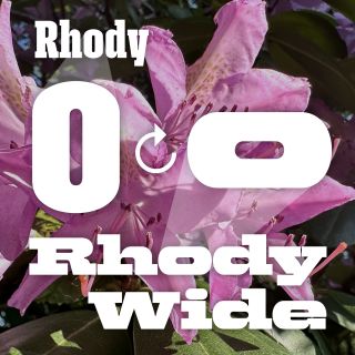 Rhody compare 2000