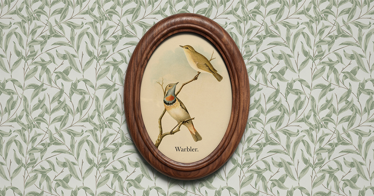 Warbler sample