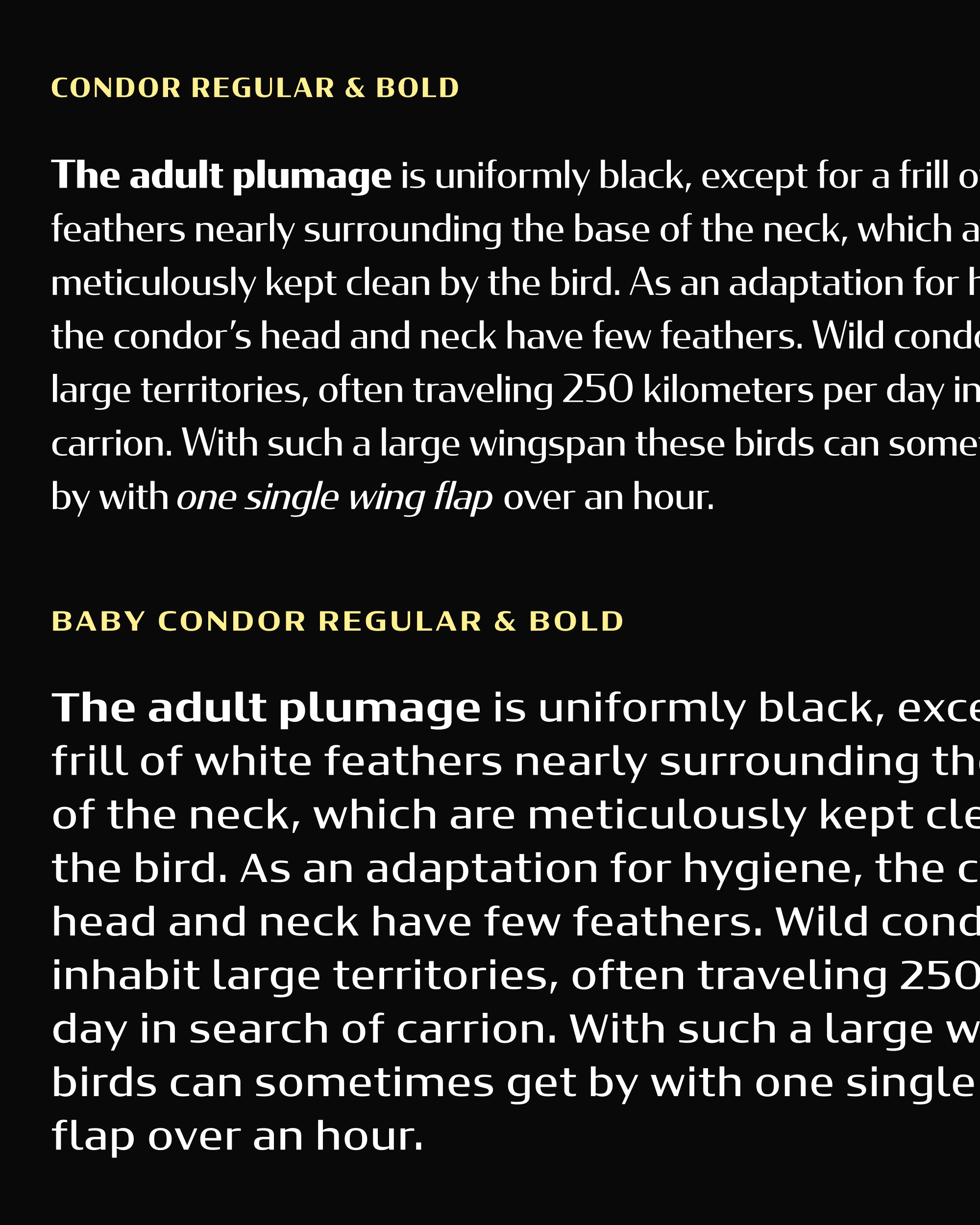 Baby condor compare 2000